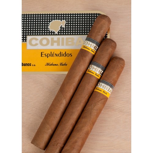 Cigars Caoba Fuma Esplendido