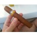 Cohiba Robustos - 25 cigars - Cuban Cigars